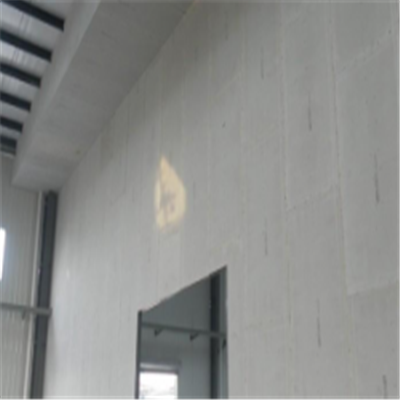 宁夏宁波ALC板|EPS加气板隔墙与混凝土整浇联接的实验研讨